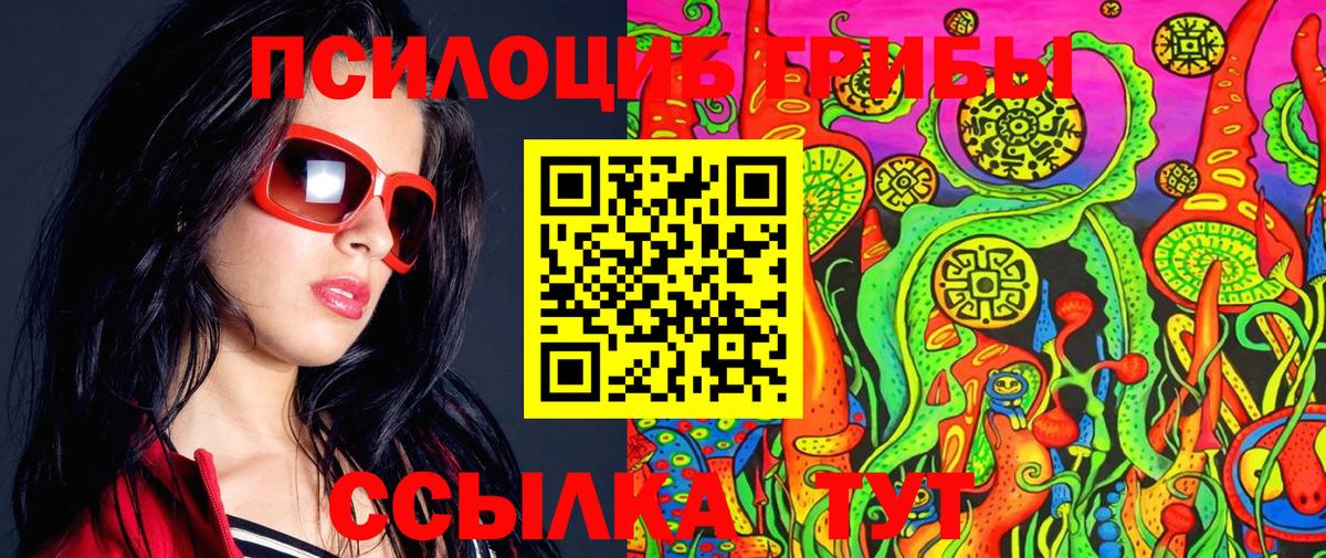 Галлюциногенные грибы Psilocybe  Псилоцибиновые грибы мицелий  Холмск  Вход с VPN 